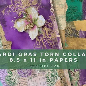 Papiers texturés Mardi Gras : album violet, vert, or (téléchargement numérique)