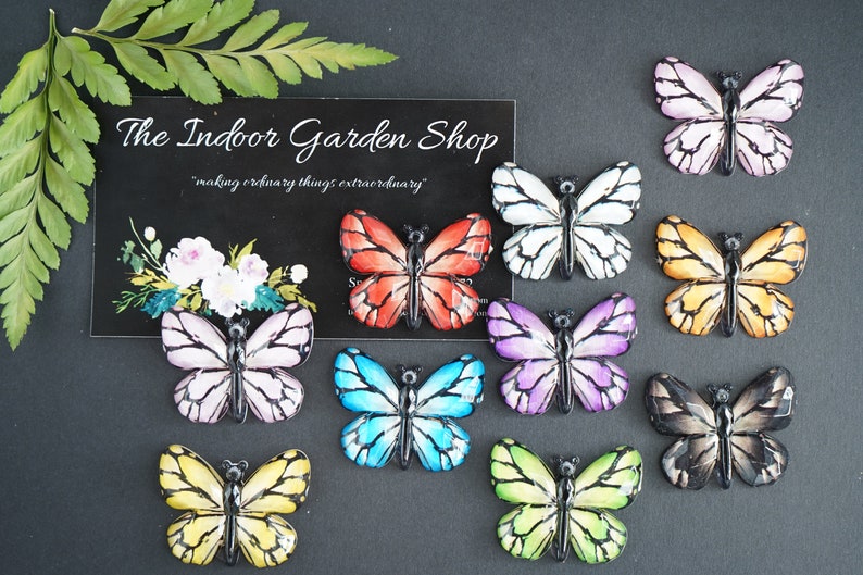 May include: Ten colorful butterfly embellishments with black outlines. The butterflies are made of resin and have a glossy finish. The butterflies are arranged in a row on a black background. The text "The Indoor Garden Shop" is visible in the background.