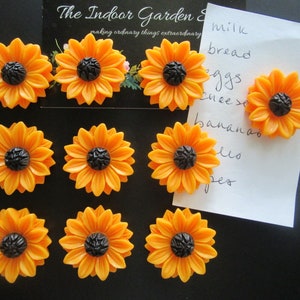 May include: Ten orange and black sunflower magnets. The magnets are arranged in two rows of five. The magnets are on a black surface. The text "The Indoor Garden & making ordinary things extraordinary" is visible in the background.