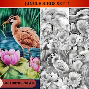 36 Realistic Jungle Birds Set 1 Grayscale Coloring Pages | Printable Adult Coloring Pages | Download Grayscale Illustration | PDF