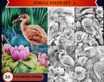 36 Realistic Jungle Birds Set 1 Grayscale Coloring Pages | Printable Adult Coloring Pages | Download Grayscale Illustration | PDF
