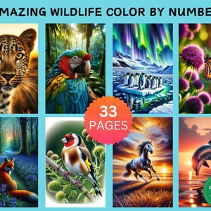 33 Amazing Wildlife Color by Number Pages, Digital Coloring Pages, Paint by Numbers Bundle, Procreate Adults Coloring Book, Animals Flowers