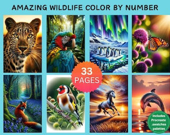 33 Amazing Wildlife Color by Number Pages, Digital Coloring Pages, Paint by Numbers Bundle, Procreate Adults Coloring Book, Animals Flowers