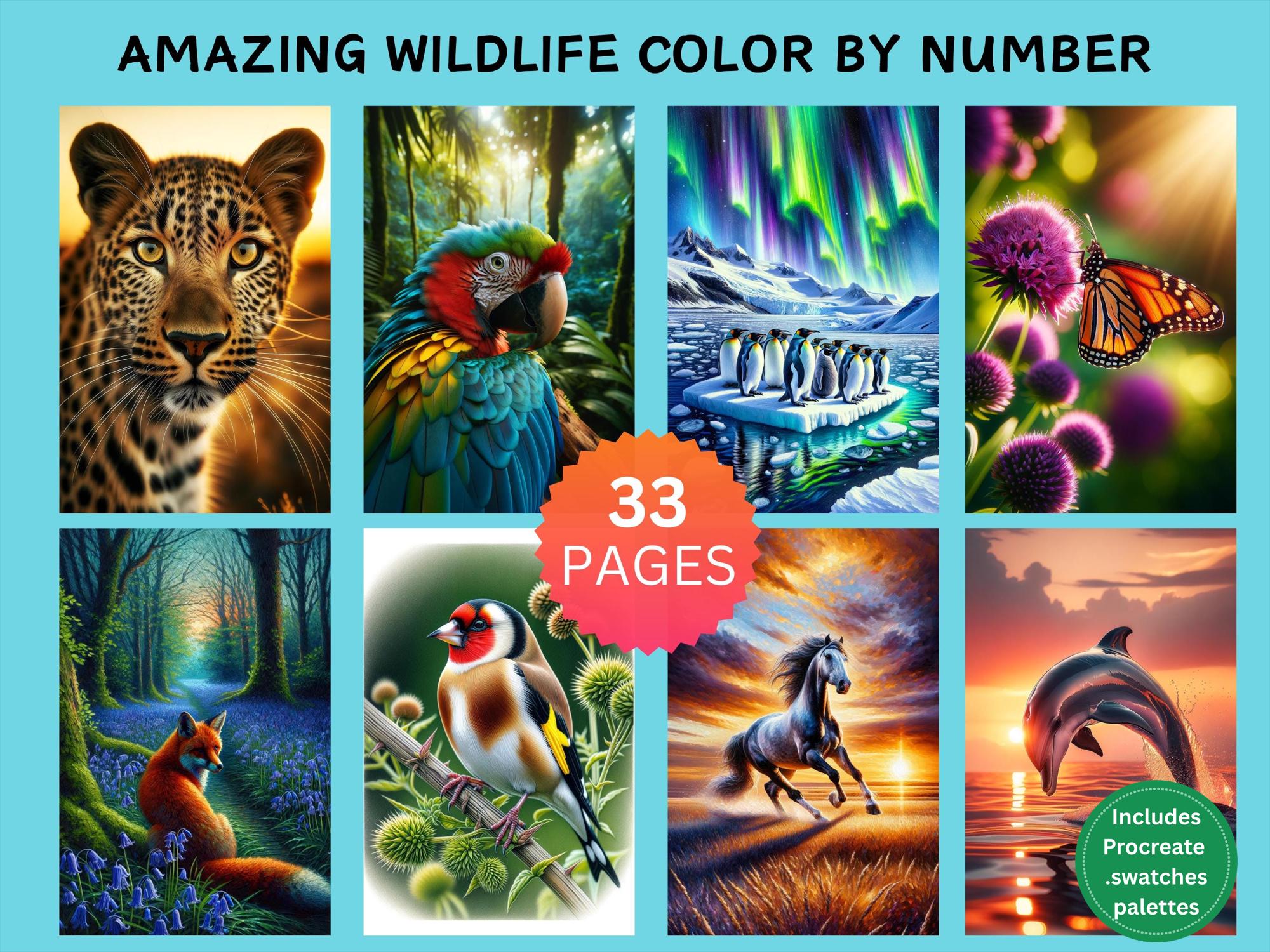 Paquete de 33 páginas de fauna para colorear por números — Libro de colorear digital para adultos (PDF, PNG, JPG, SVG, Procreate)