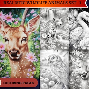 40 Realistic Wildlife Animals Set 1 Grayscale Coloring Pages | Printable Adult Coloring Pages | Download Grayscale Illustration | PDF