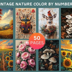50 Vintage Nature Color by Number Pages, Digital Coloring Pages, Paint by Numbers Bundle, Procreate Adults Coloring Book, Flowers Insects image 3