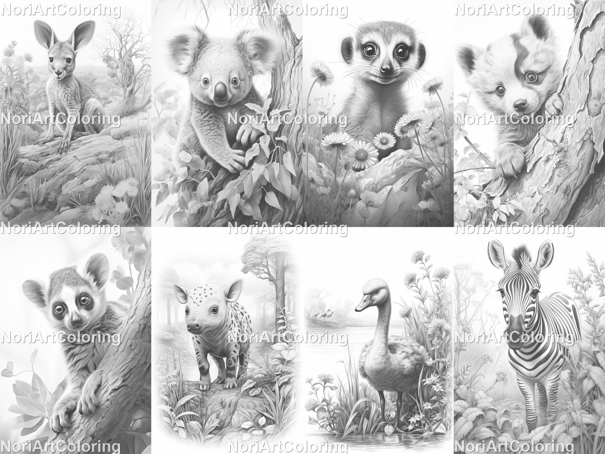 Animales Realistas: Un Libro para Colorear para Adultos con Hermosas  Ilustraciones de Leones, Tigres, Lobos, Koalas, Loros, Perros, Gatos y  mucho más