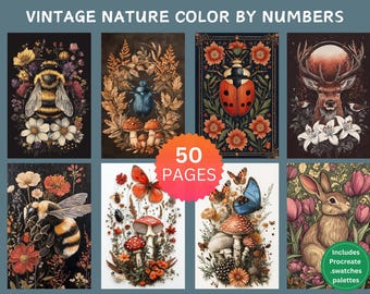 50 Vintage Nature Color by Number Pages, Digital Coloring Pages, Paint by Numbers Bundle, Procreate Adults Coloring Book, Flowers Insects