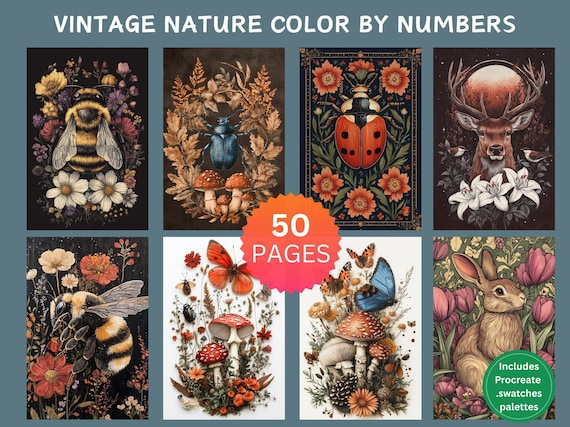 50 Vintage Nature Color by Number Pages, Digital Coloring Pages, Paint by Numbers Bundle, Procreate Adults Coloring Book, Flowers Insects