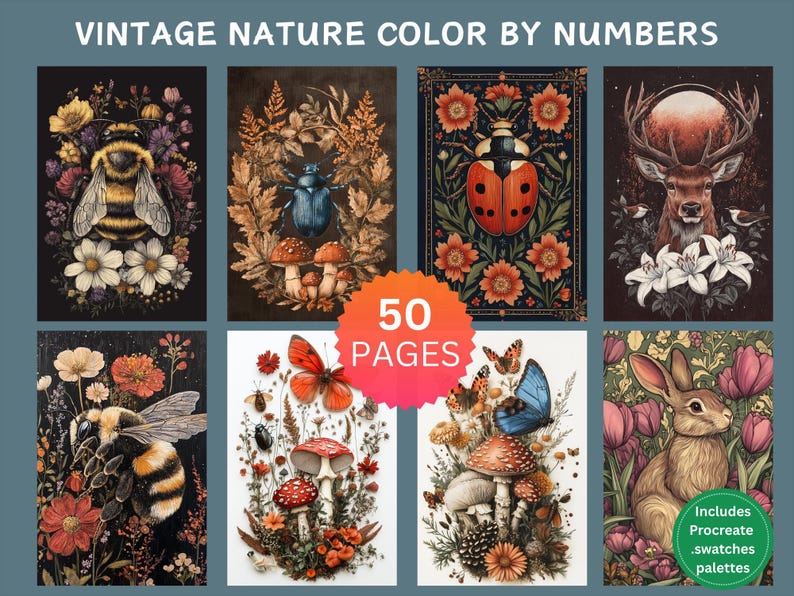 50 Vintage Nature Color by Number Pages, Digital Coloring Pages, Paint by Numbers Bundle, Procreate Adults Coloring Book, Flowers Insects image 1