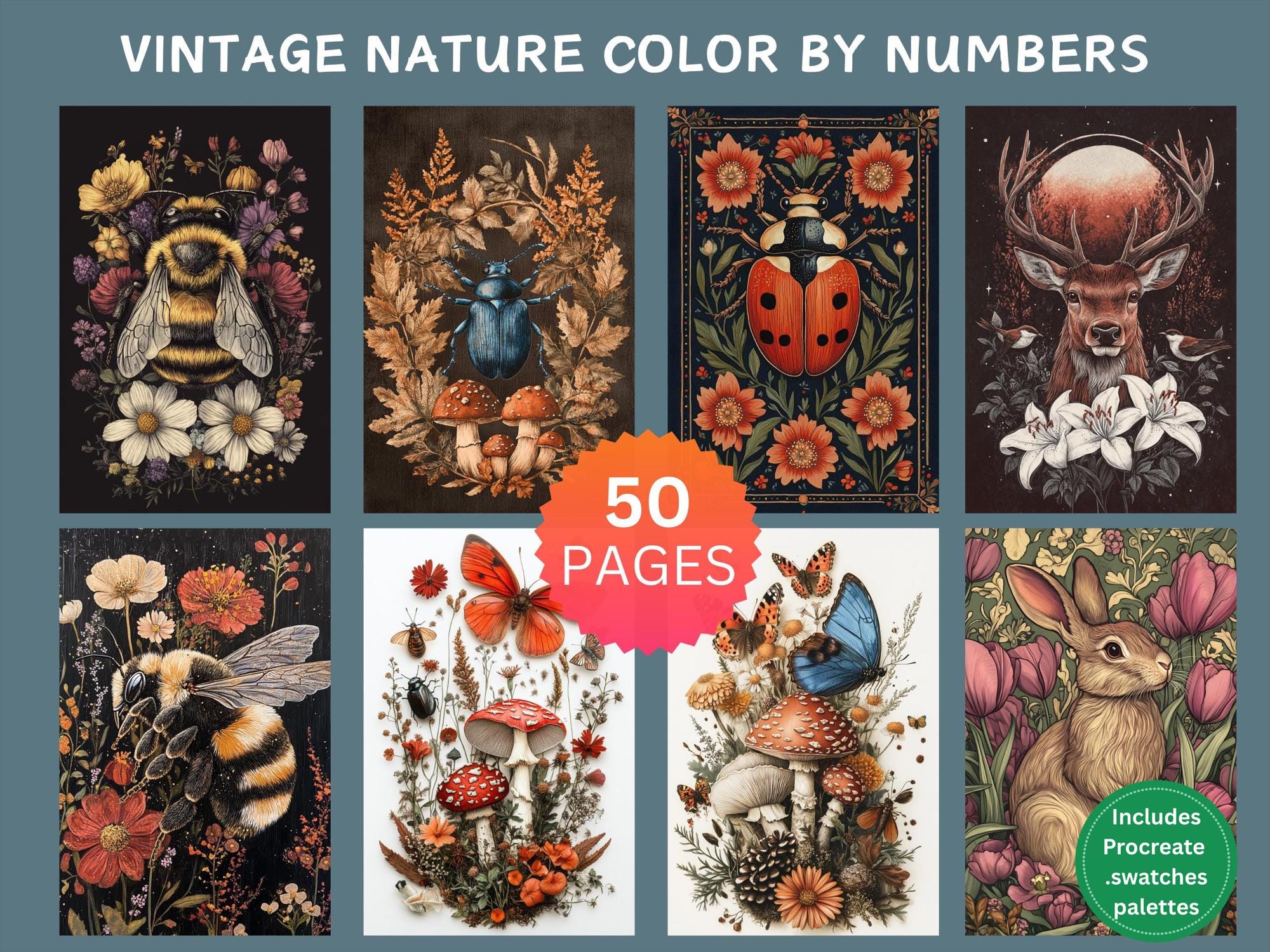 50 Vintage Nature Color by Number Pages | Printable & Procreate Bundle with Flowers and Insects