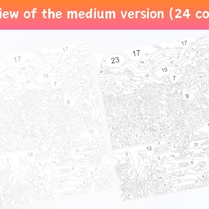 Peut inclure: Deux toiles de peinture par num&eacute;ros sont pr&eacute;sent&eacute;es, l'une vierge et l'autre partiellement color&eacute;e. Le texte "Preview of the medium version (24 colors)" est en haut. Les toiles comportent des sections num&eacute;rot&eacute;es pour la peinture.