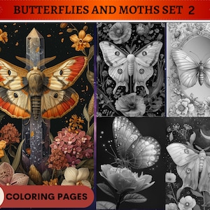 60 Butterflies and Moths Set 2 Coloring Pages | Printable Adult Coloring Pages | Download Grayscale Illustration