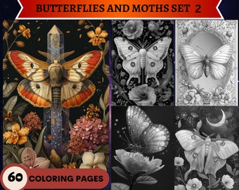 60 Mariposas y Polillas Set 2 Páginas para colorear / Páginas para colorear para adultos imprimibles / Descargar ilustración en escala de grises