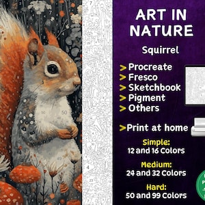 Color by Number, Digital Coloring Pages, Paint by Numbers, Procreate Coloring Book, Adults Coloring Book, Squirrel Color by Number