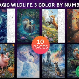 10 Color by Number Pages, Digital Coloring Pages, Paint by Numbers Bundle, Procreate Adults Coloring Book, Magic Wildlife Set 3