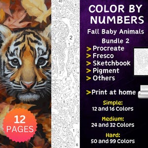 12 Color by Number Pages, Digital Coloring Pages, Paint by Numbers Bundle, Procreate Adults Coloring Book, Fall Baby Animals Bundle 2