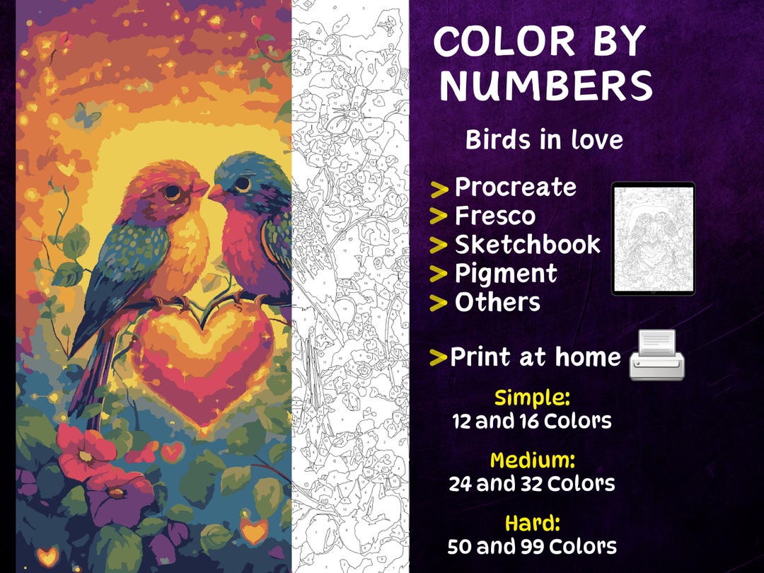Color by Number, Digital Coloring Pages, Paint by Numbers, Procreate ...