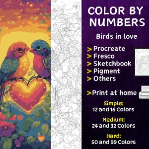Color by Number, Digital Coloring Pages, Paint by Numbers, Procreate Coloring Book, Adults Coloring Book, Birds in love Coloring by Number