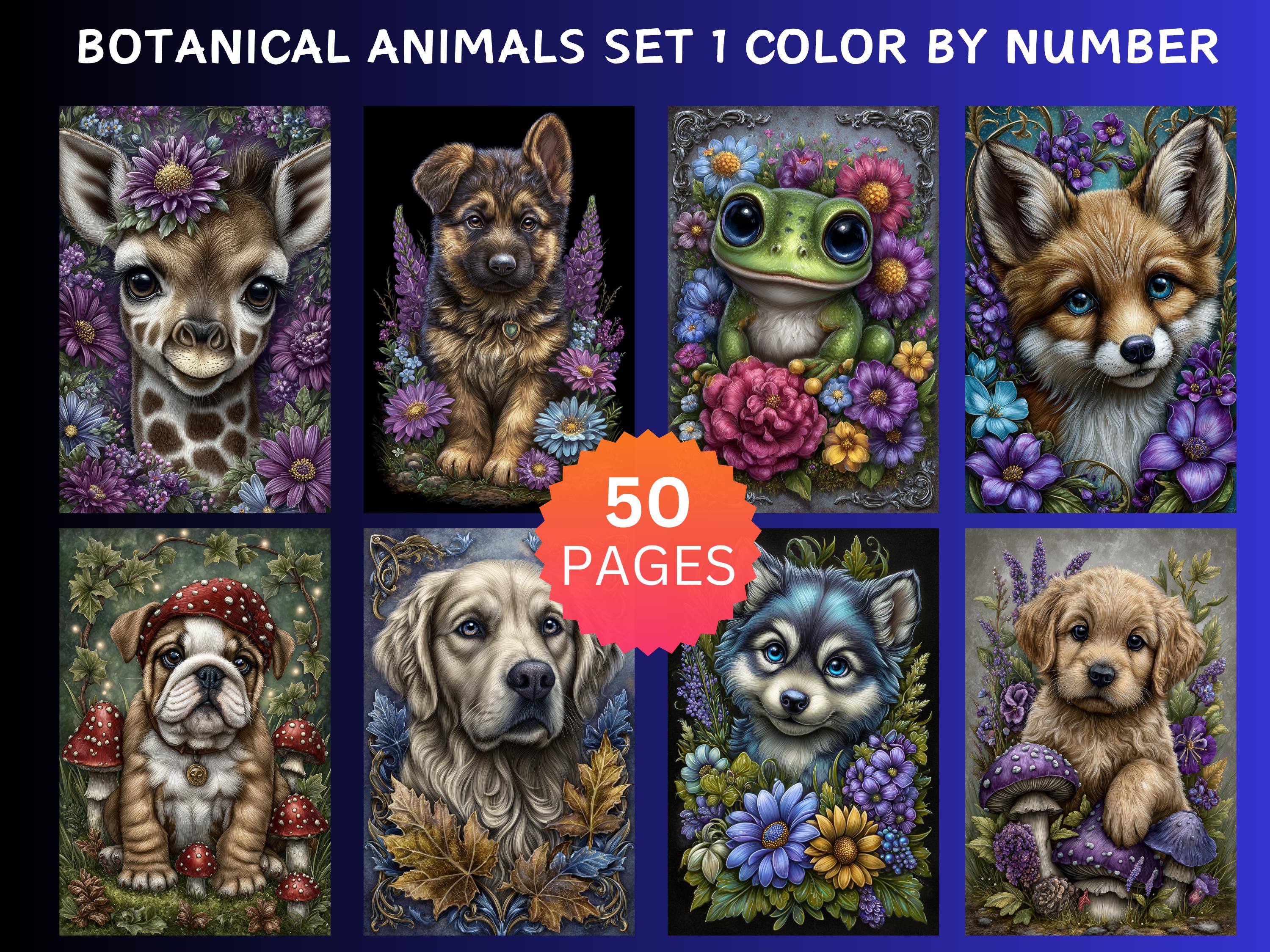 Pack de 50 Animales Botánicos para Colorear por Números — Páginas para Adultos Imprimibles y Digitales, Procreate, PDF/PNG/JPG/SVG