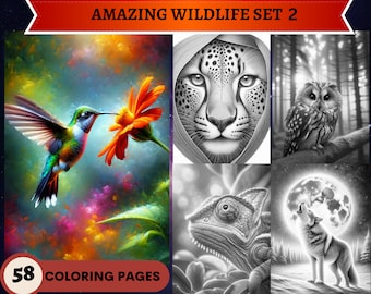 58 Amazing Wildlife Set 2 Grayscale Coloring Pages | Printable Adult Coloring Pages | Download Grayscale Illustration | Animals Nature