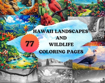 77 Hawaii Paesaggi e fauna selvatica Pagine da colorare in scala di grigi / Pagine da colorare per adulti stampabili / Scarica scala di grigi / Spiagge tropicali Fiori