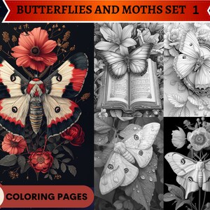 65 Butterflies and Moths Set 1 Coloring Pages | Printable Adult Coloring Pages | Download Grayscale Illustration