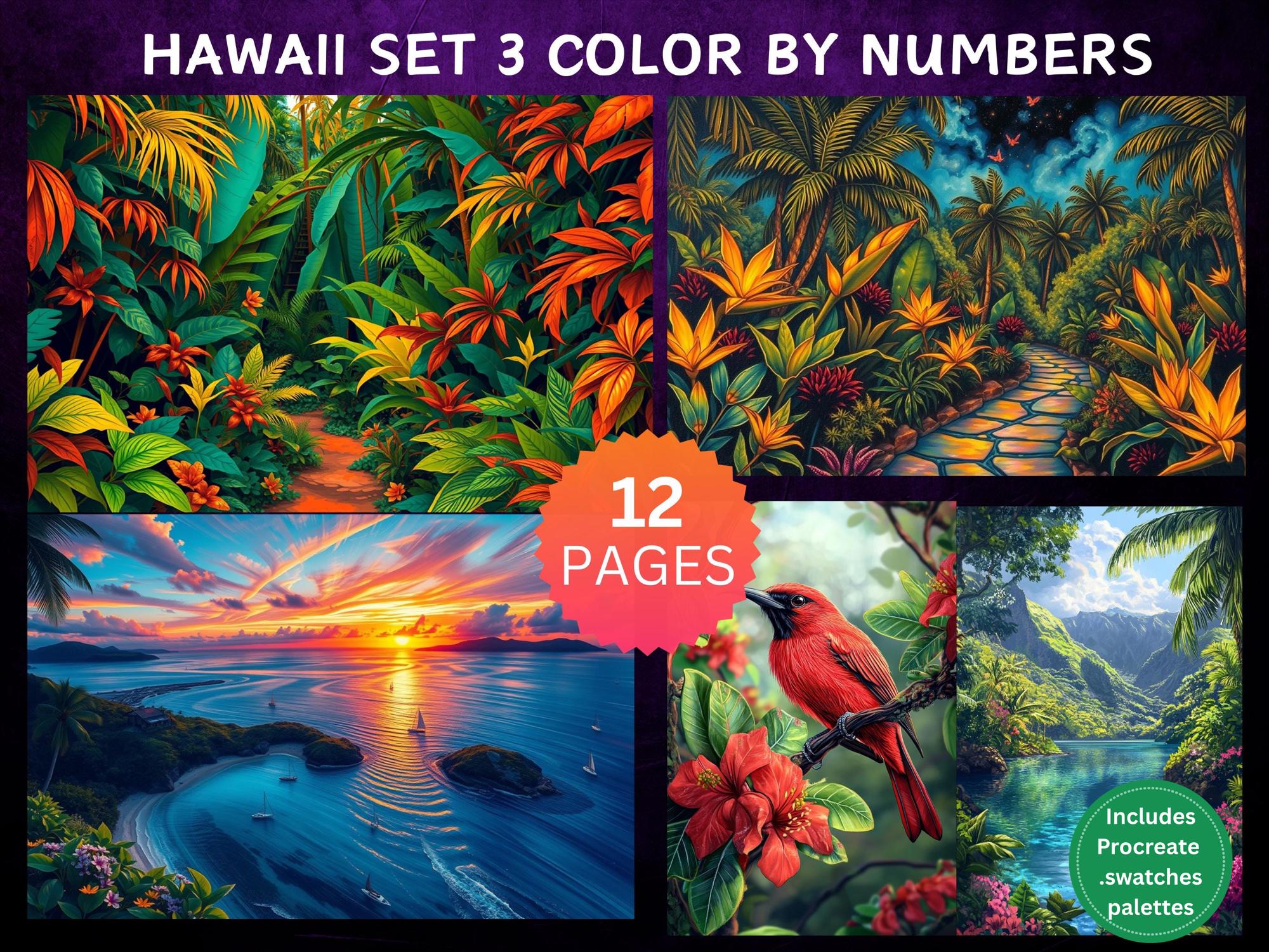 12 páginas de Hawaii para colorear por números – Pack digital para adultos, paisajes y vida silvestre (Set 3) | Procreate e imprimible
