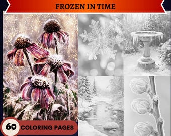 60 pagine da colorare in scala di grigi "Congelato nel tempo" / Libro da colorare invernale sulla neve stampabile per adulti e bambini / Disegni floreali da scaricare immediatamente
