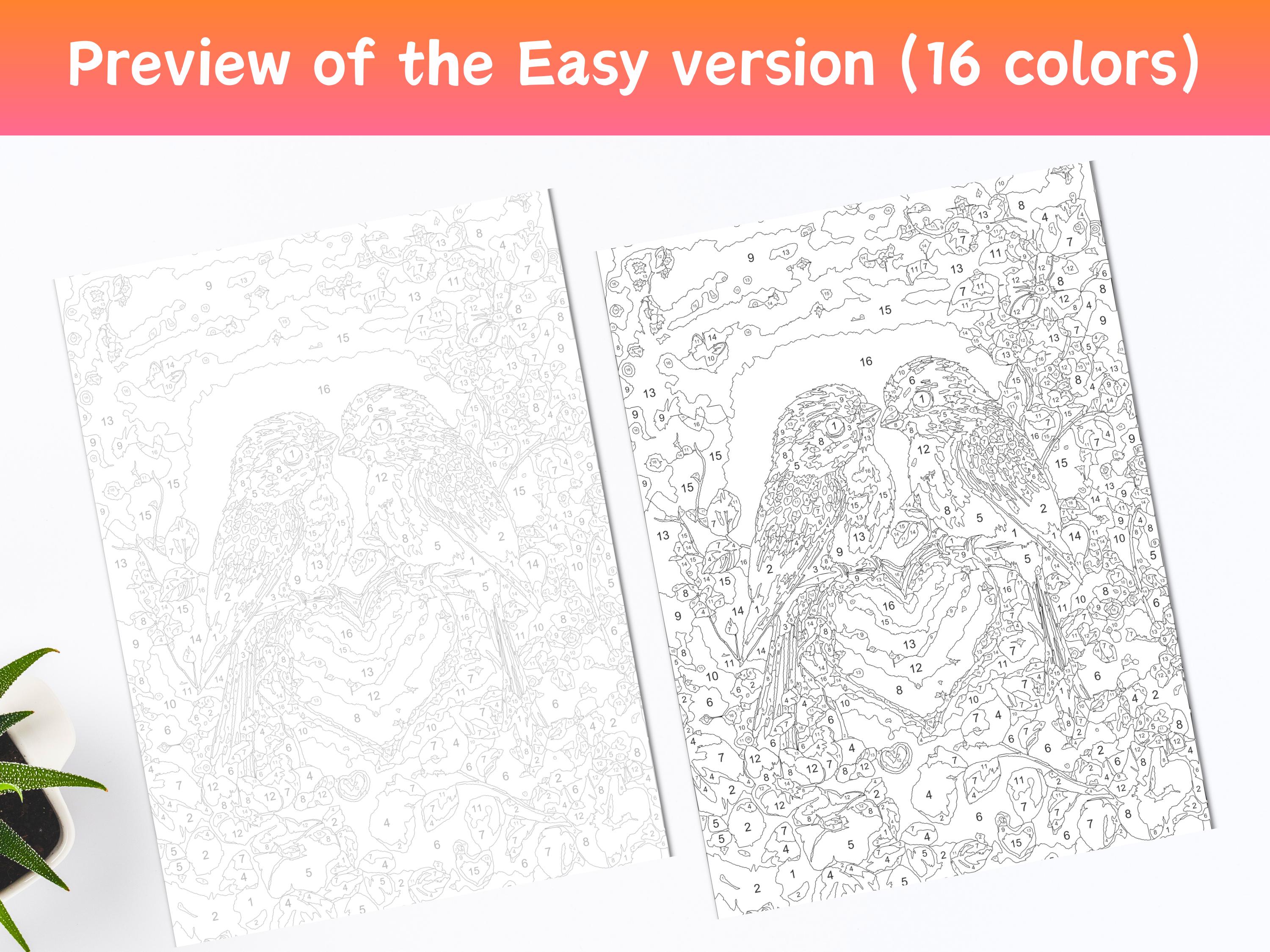 Color by Number, Digital Coloring Pages, Paint by Numbers, Procreate ...
