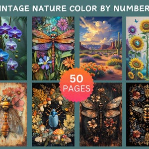 50 Vintage Nature Color by Number Pages, Digital Coloring Pages, Paint by Numbers Bundle, Procreate Adults Coloring Book, Flowers Insects image 4