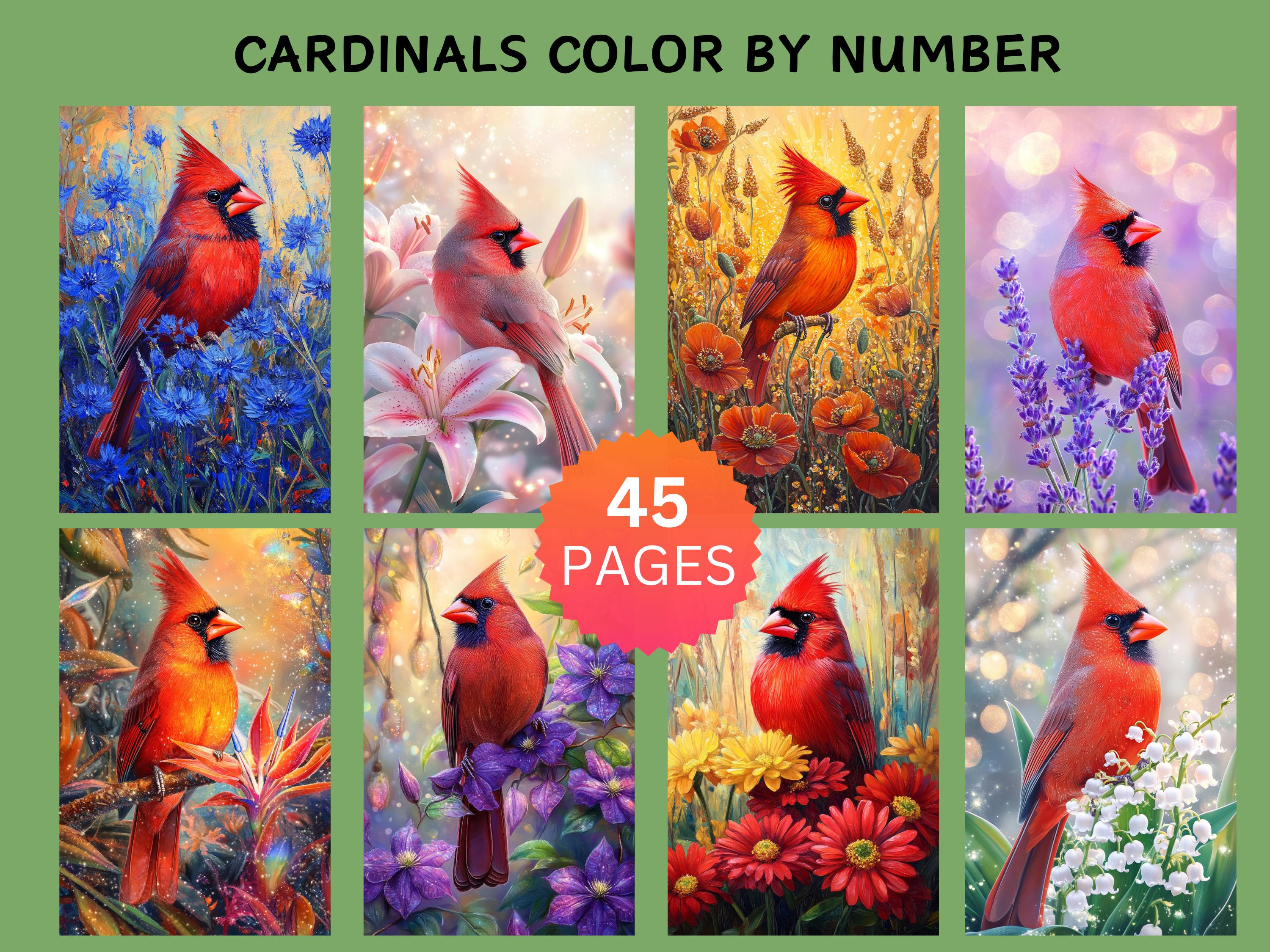45 páginas de cardenales por números | Pack de coloreo digital para adultos | Archivos imprimibles y para Procreate
