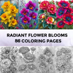 May include: A collection of vibrant flower illustrations, including yellow daffodils, purple orchids, and red blooms. The image also features black and white floral line drawings. Text reads "RADIANT FLOWER BLOOMS 86 COLORING PAGES."