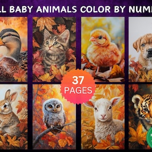 37 Color by Number Pages, Digital Coloring Pages, Paint by Numbers Bundle, Procreate Adults Coloring Book, Fall Baby Animals Whole Bundle