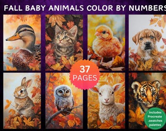 37 Color by Number Pages, Digital Coloring Pages, Paint by Numbers Bundle, Procreate Adults Coloring Book, Fall Baby Animals Whole Bundle