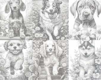52 Perros de diferentes razas Set 1/Páginas para colorear en escala de grises / Páginas para colorear para niños adultos imprimibles /Descargar ilustración en escala de grises/PDF imprimible