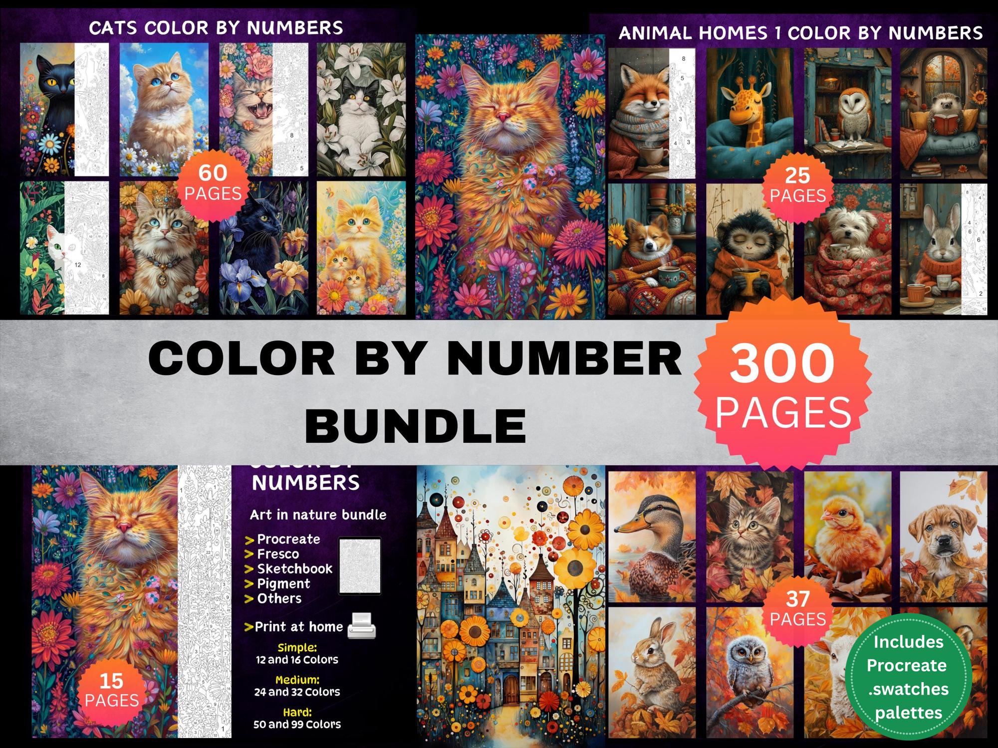 Mega pack definitivo de Procreate por números – 300 páginas de colorear digitales para adultos, alivio del estrés y práctica de pintura