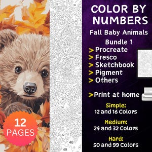 12 Color by Number Pages, Digital Coloring Pages, Paint by Numbers Bundle, Procreate Adults Coloring Book, Fall Baby Animals Bundle 1