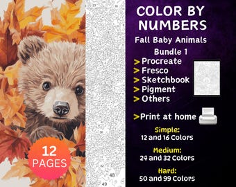 May include: Color by number coloring pages featuring a baby bear in autumn leaves. The set includes 12 pages and is for Procreate, Fresco, Sketchbook, Pigment, and other apps. Print at home. Simple: 12 and 16 colors. Medium: 24 and 32 colors. Hard: 50 and 99 colors.