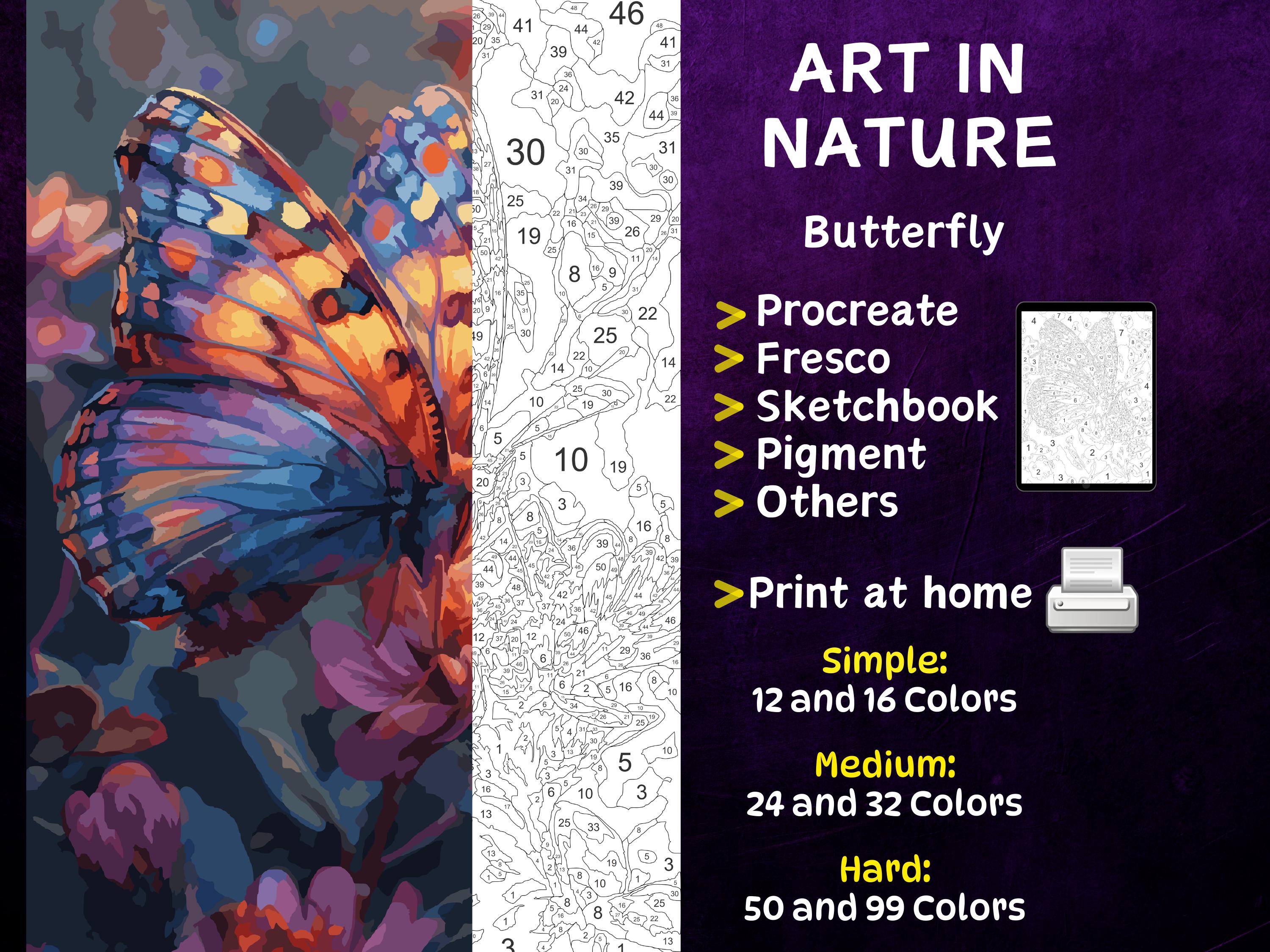 Color by Number, Digital Coloring Pages, Paint by Numbers, Procreate Coloring Book, Adults Coloring Book, Butterfly on Flowers