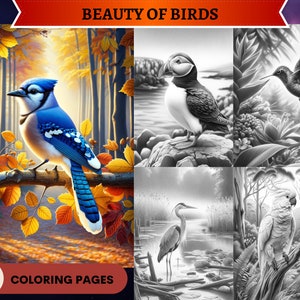 55 Beauty of Birds Grayscale Coloring Pages | Printable Adult Coloring Pages | Download Grayscale | Animals coloring | Instant PDF Download