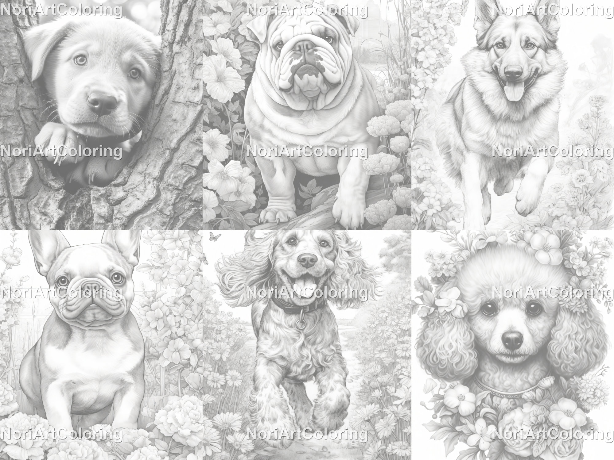 Trace & Color Books: Dog Breeds ~Digital Download~-2762