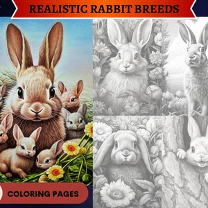 54 Realistic Rabbit Breeds | Species Grayscale Coloring Pages | Printable Adult and Kids Coloring Pages | Download Grayscale Illustration