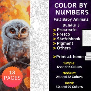 13 Color by Number Pages, Digital Coloring Pages, Paint by Numbers Bundle, Procreate Adults Coloring Book, Fall Baby Animals Bundle 3