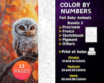 May include: Color by numbers coloring book featuring a baby owl in an autumn forest setting. The book has 13 pages and includes 12, 16, 24, 32, 50, and 99 color options. It is compatible with Procreate, Fresco, Sketchbook, Pigment, and other apps. The book can be printed at home.