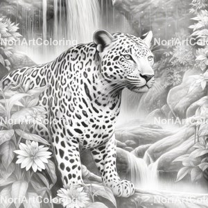 40 Realistic Wildlife Animals Set 1 Grayscale Coloring Pages ...