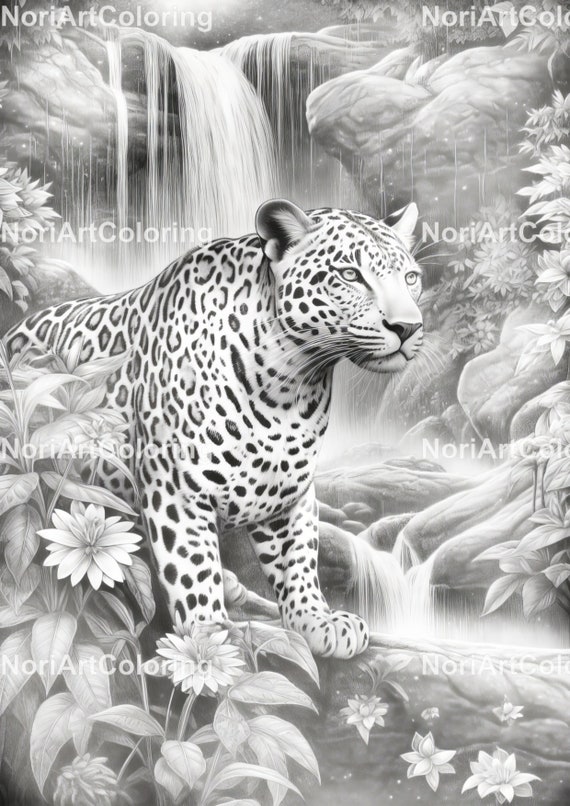 Realistic Animal Coloring Pages Realistic Animal Coloring Pages Free