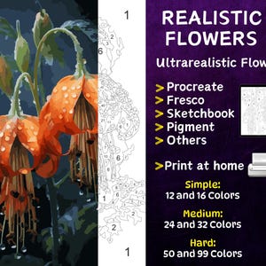 Color by Number, Digital Coloring Pages, Paint by Numbers, Procreate Coloring Book, Adults Coloring , Ultrarealistic Flower 2