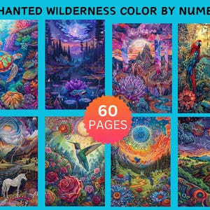 May include: A collection of eight vibrant, colorful illustrations from an "Enchanted Wilderness Color by Numbers" book. Each image depicts fantastical scenes with animals, plants, and landscapes. The cover shows "60 PAGES" in a circular design.