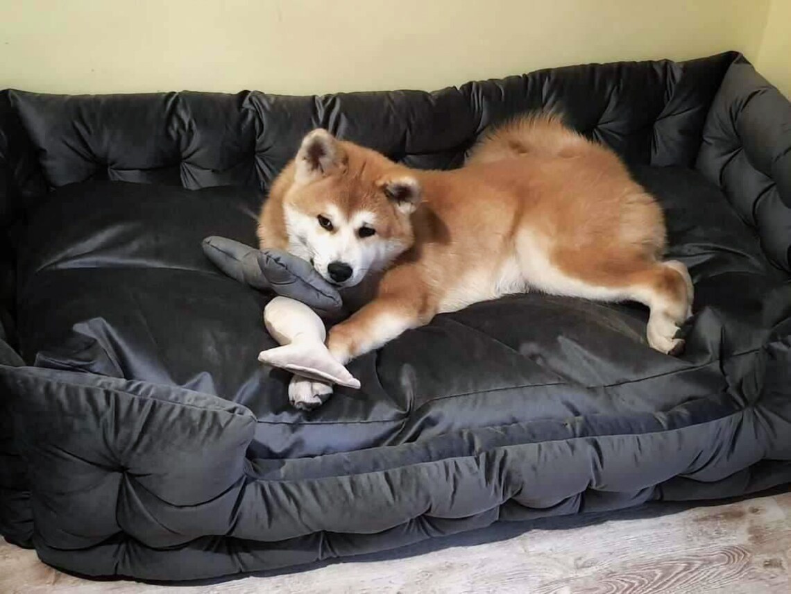 Dog Bed Large Dog Bed Extra Large Dog Bed Velvet Dog Bed Etsy
